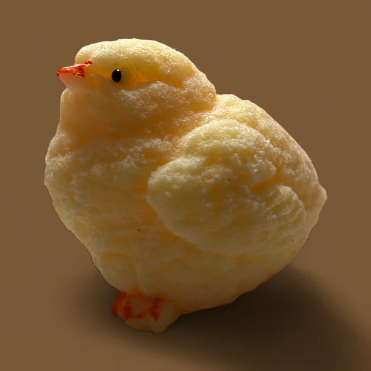 Taba chick