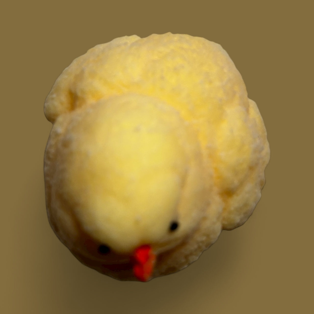 Taba chick