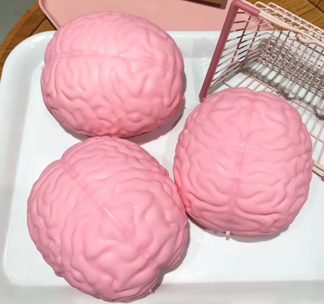 Jumbo Squishy Brain